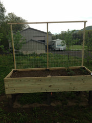 TENAX Hortonova installed in greenhouse improving plant support and harvest