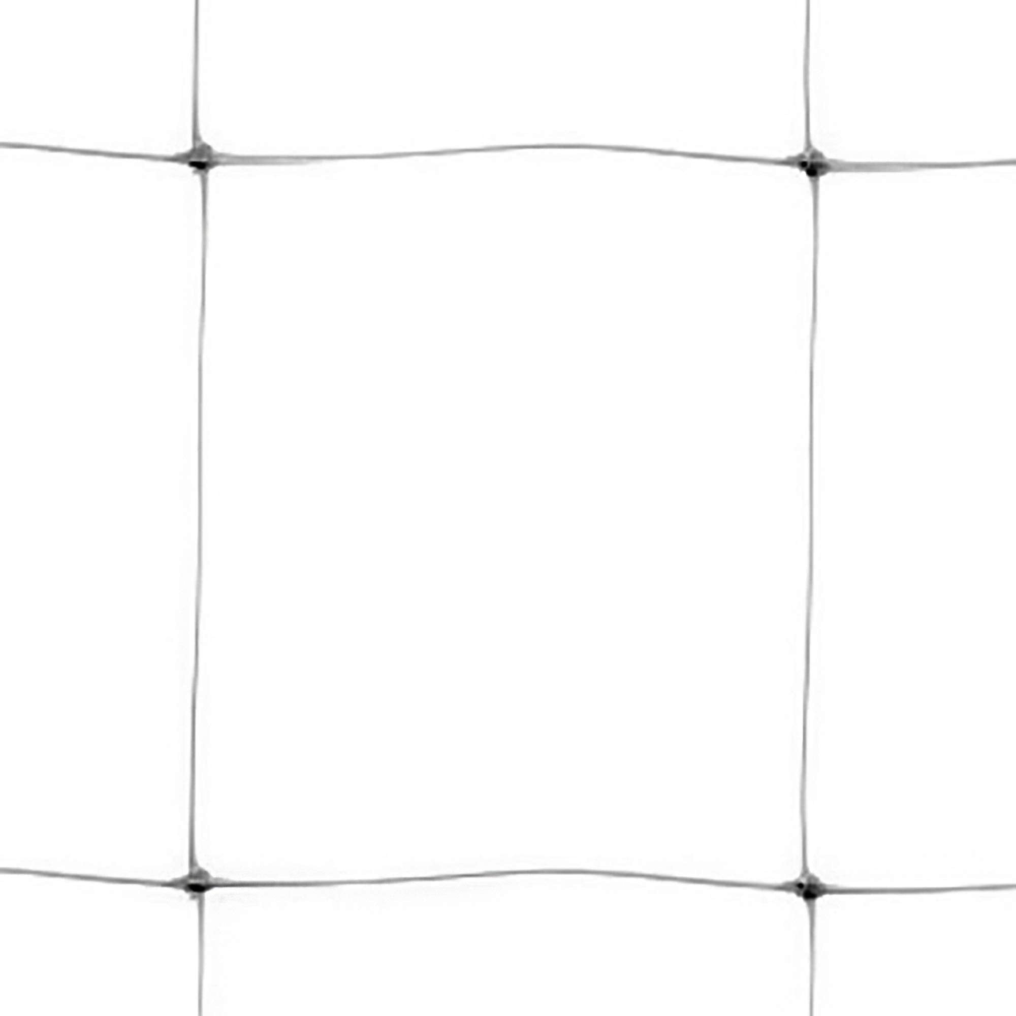 TENAX trellis close-up mesh showing strong 6.5 cm spacing