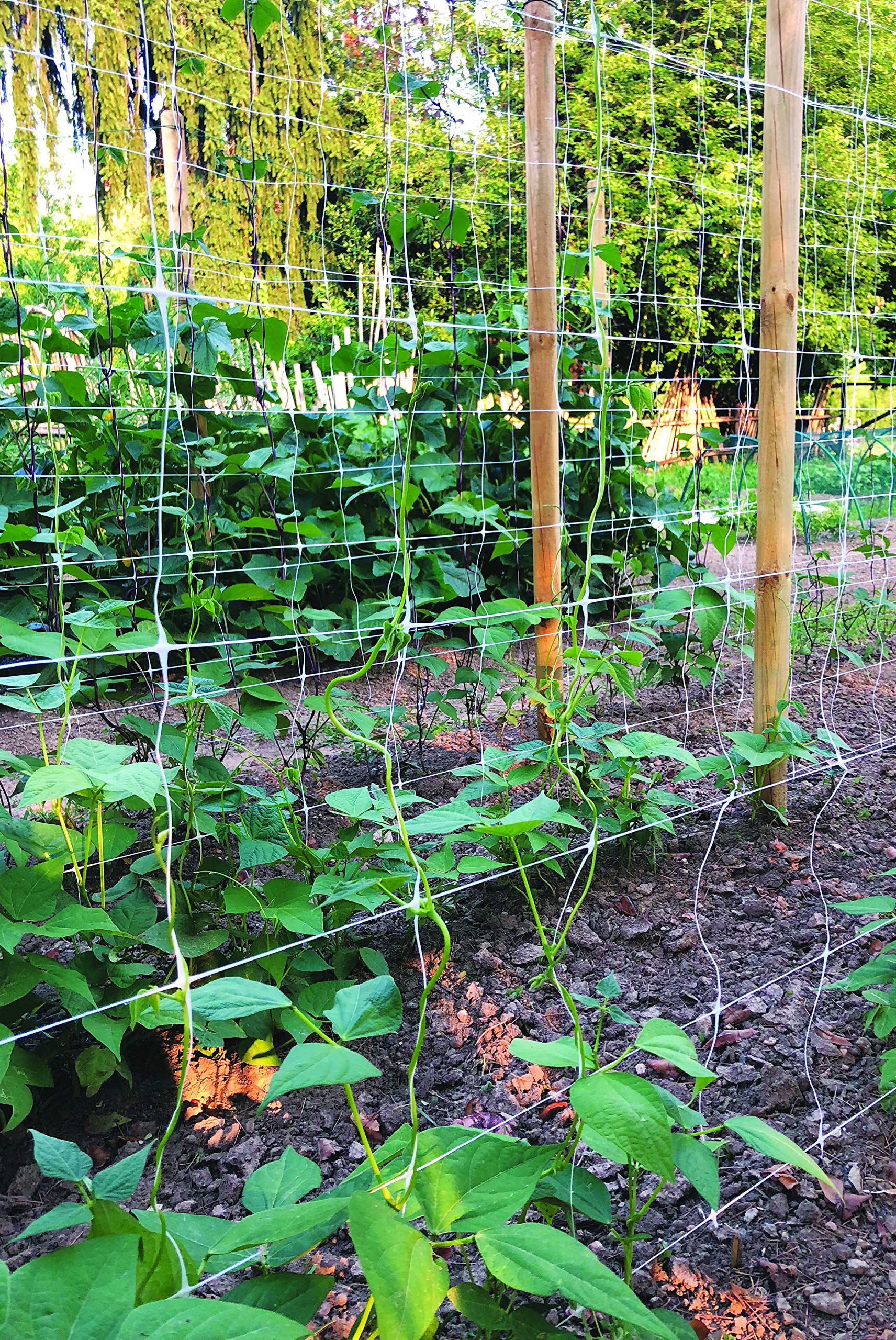 TENAX trellis with hands for scale demonstrating lightweight strength