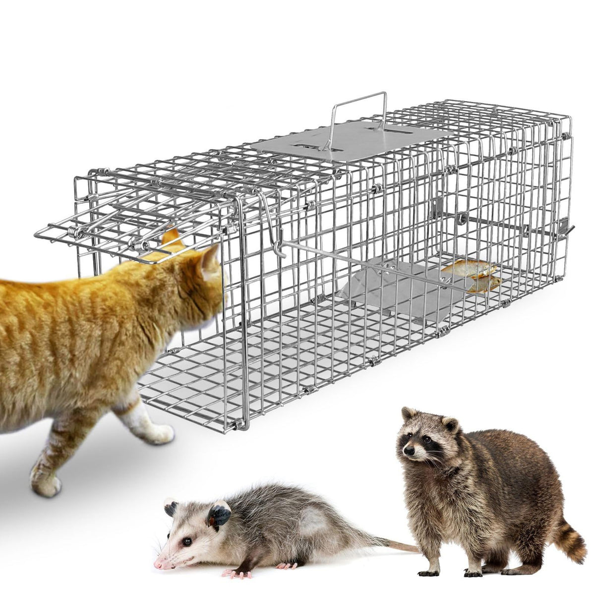 TeqHome front view of trap showing secure humane capture