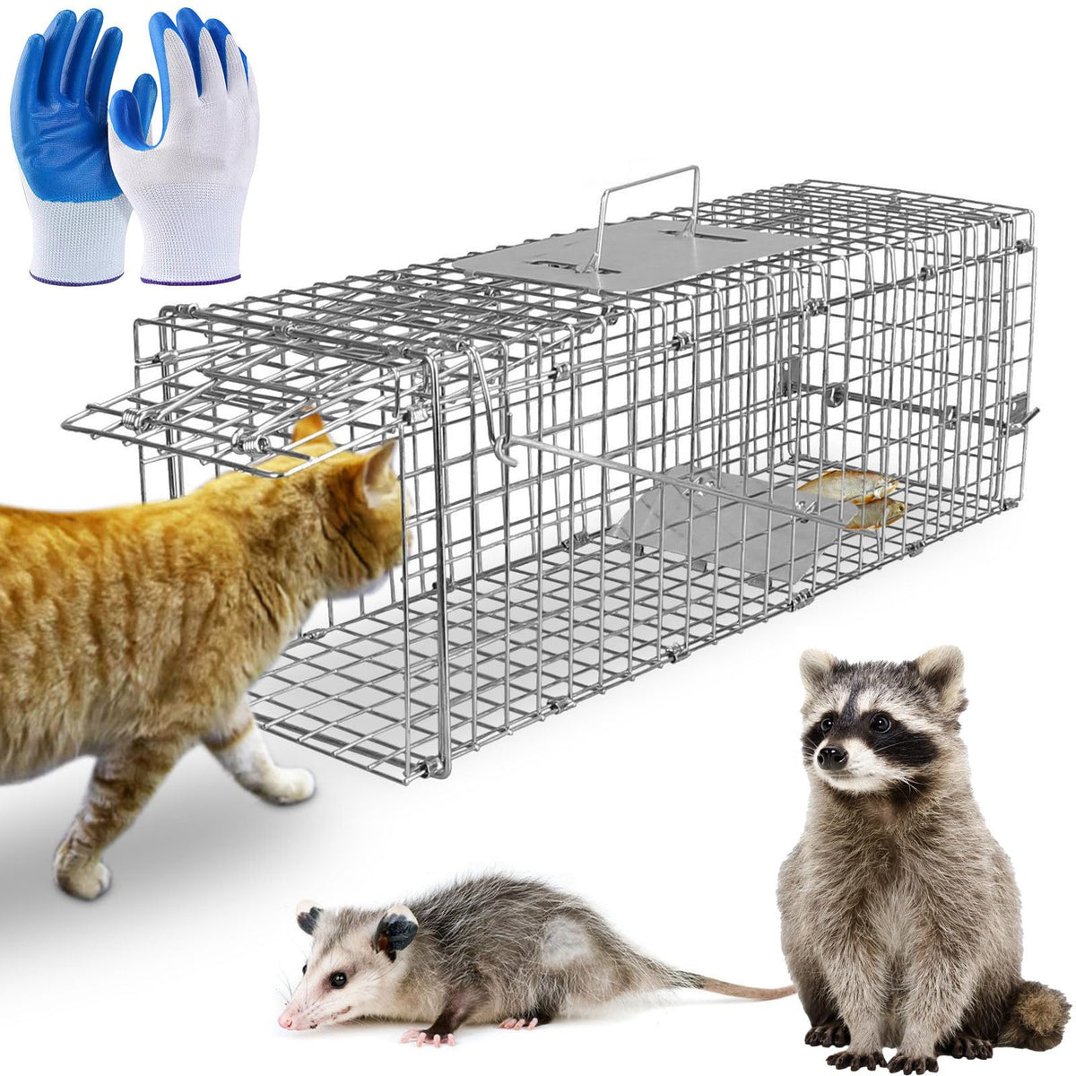 TeqHome front view of galvanized live animal trap showing sturdy frame and latch benefit humane capture