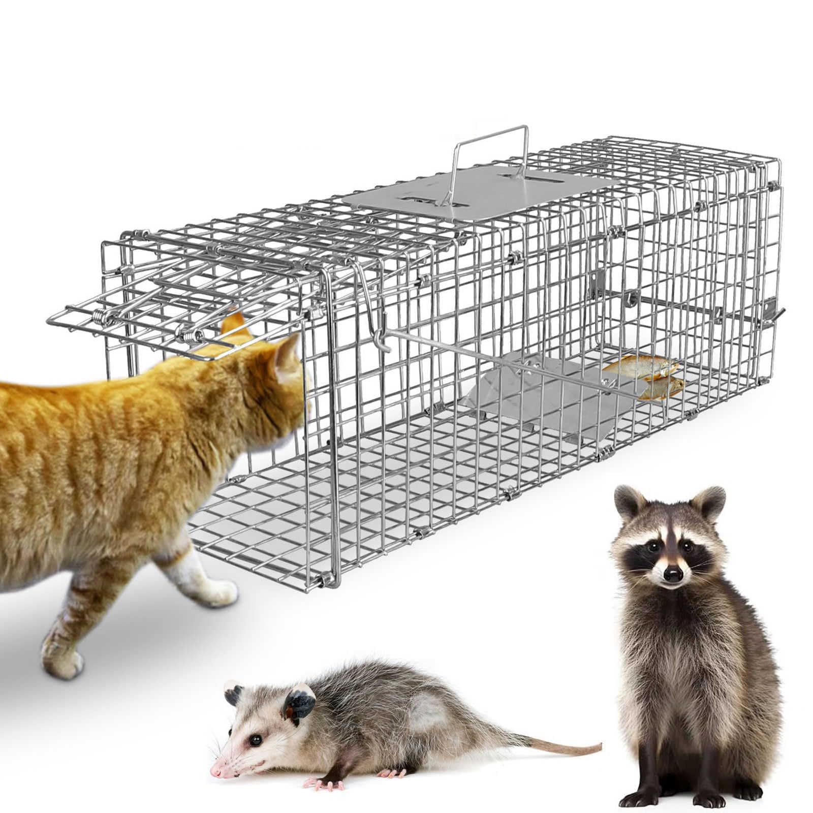 TeqHome front view of humane trap showing secure entrance and durable frame benefit safe capture