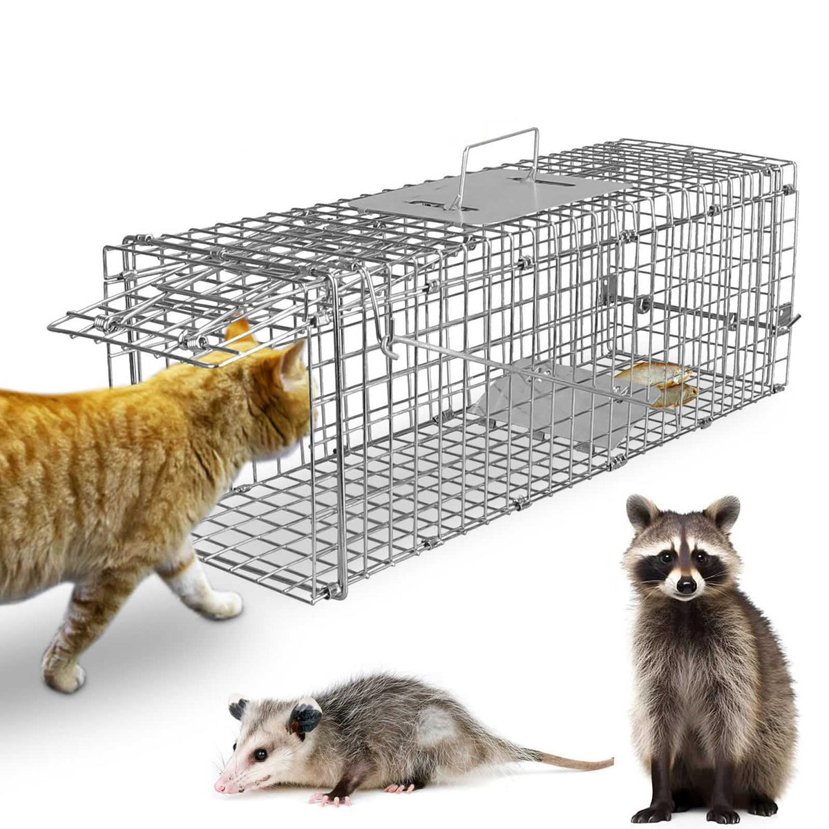 TeqHome front view of humane trap showing secure entrance and durable frame benefit safe capture