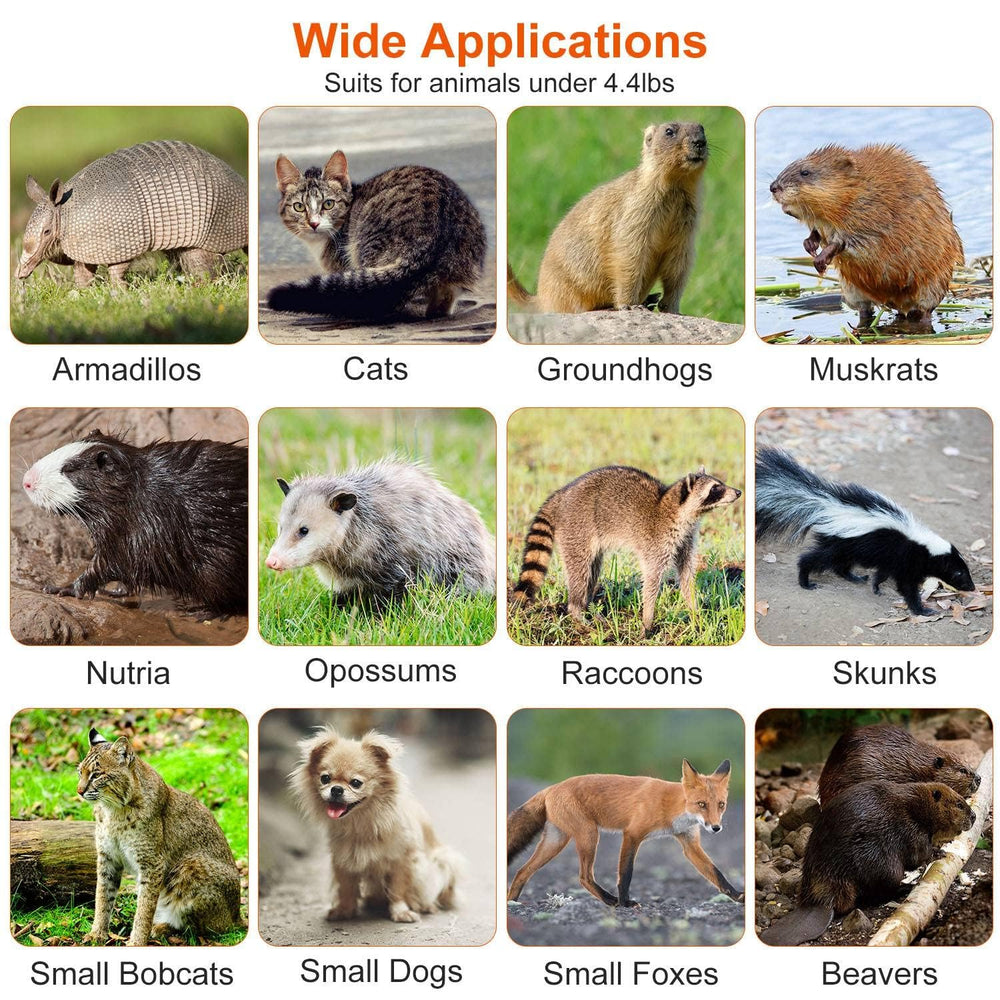 TeqHome trap beside a shoe for scale showing actual size benefit helps choose correct model