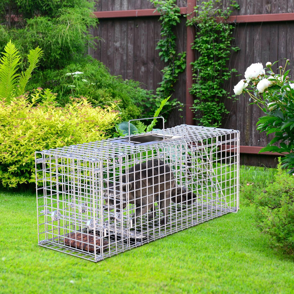 TeqHome trap beside adult hand for scale showing dimensions and portability benefit informed purchase