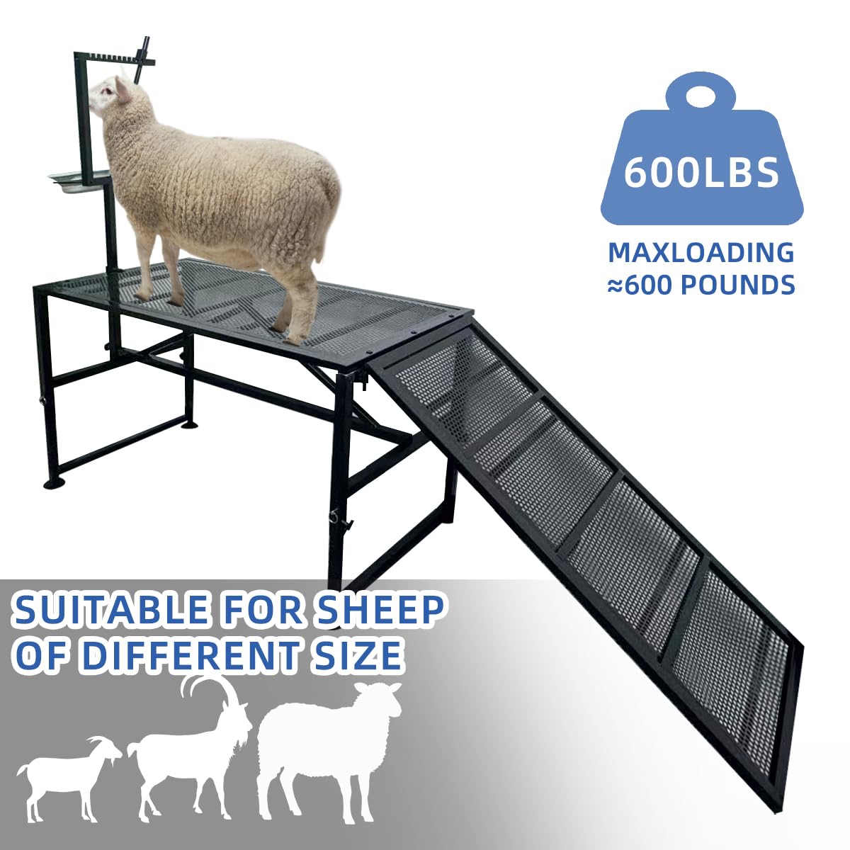 TERCFDSK ramp and integrated feed bin detail calming animal during work