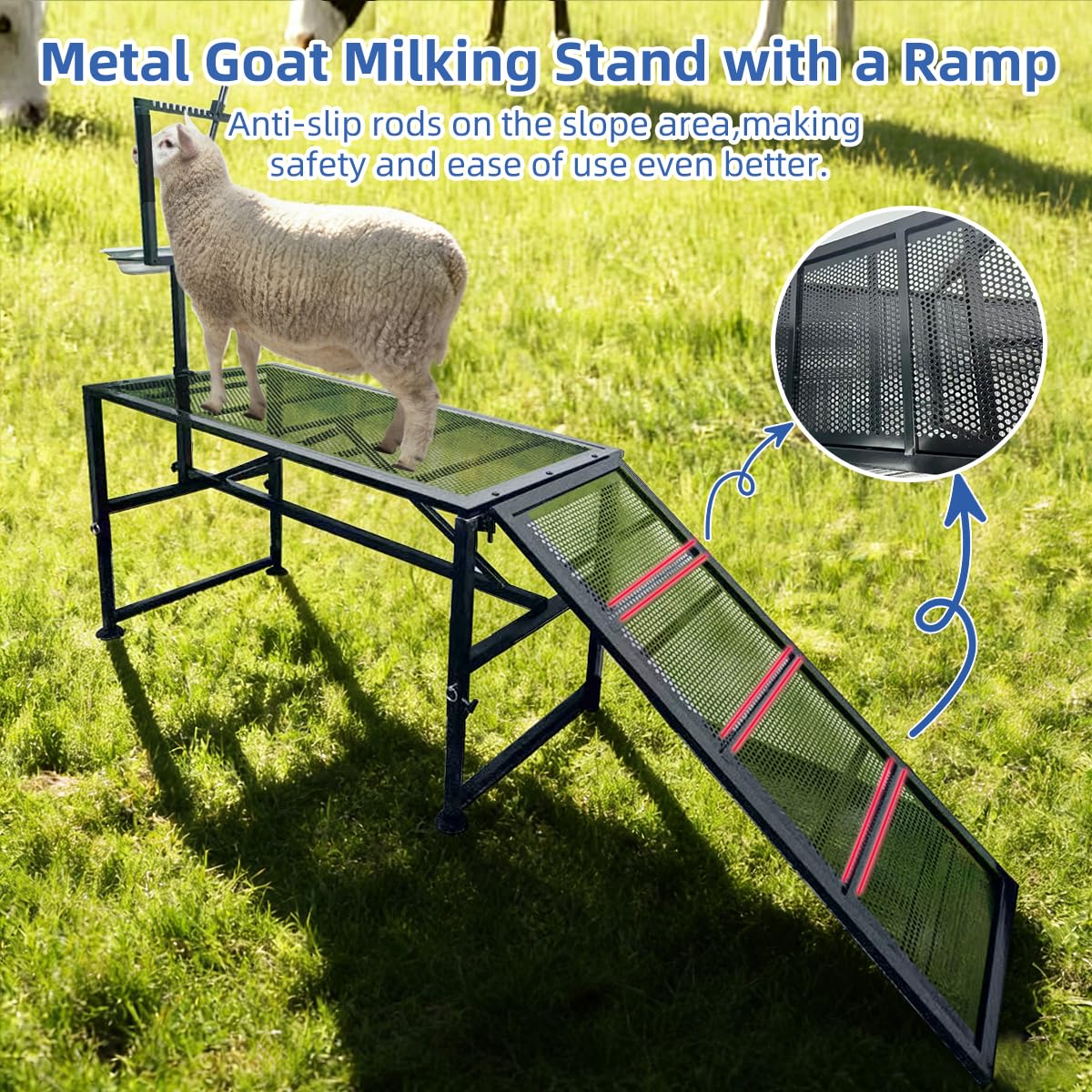 TERCFDSK goat on platform demonstrating secure use and handler benefit