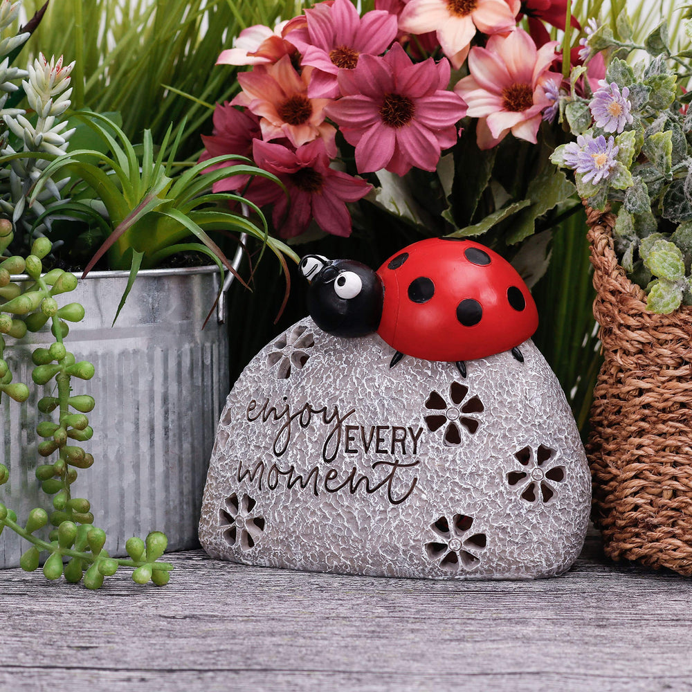 TERESA'S COLLECTIONS close-up of ladybug eyes and smile conveying whimsical charm