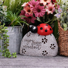 TERESA'S COLLECTIONS close-up of ladybug eyes and smile conveying whimsical charm