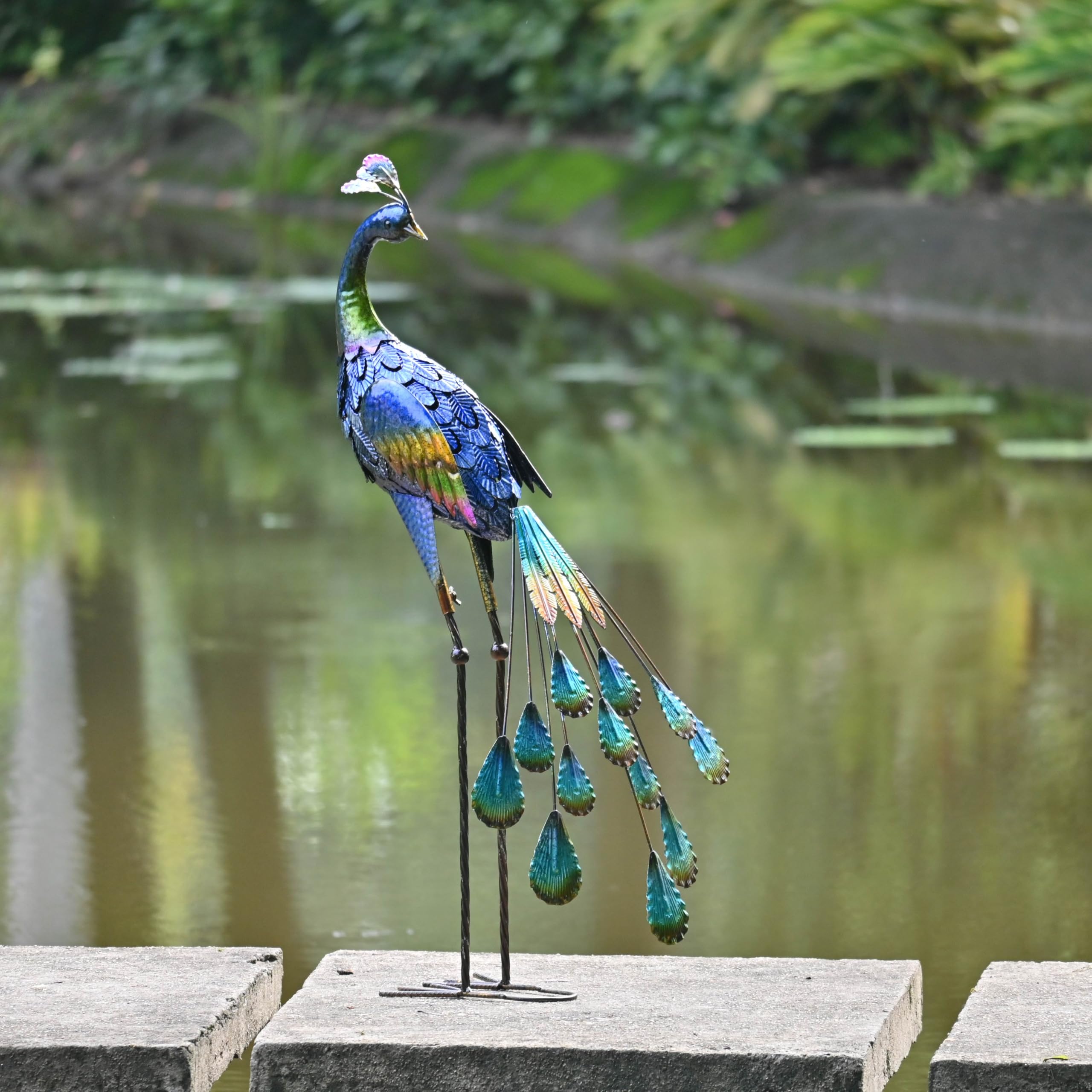TERESA'S COLLECTIONS peacock beside outdoor chair illustrating 35-inch scale advantage