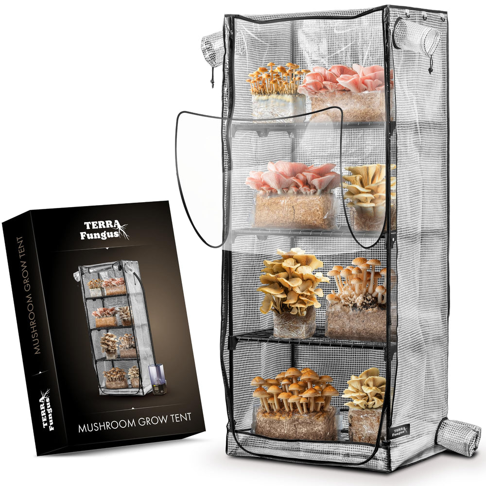 Terra Fungus front view showing compact footprint and sturdy cabinet benefit