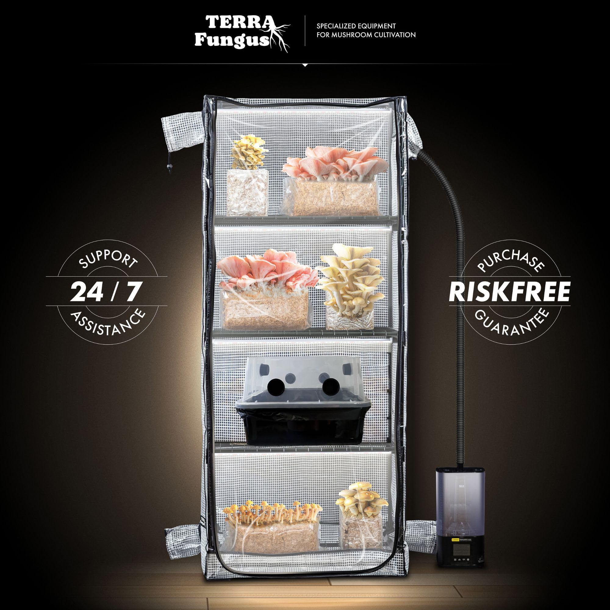 Terra Fungus tent in a room showing discreet indoor growing and space-saving benefit
