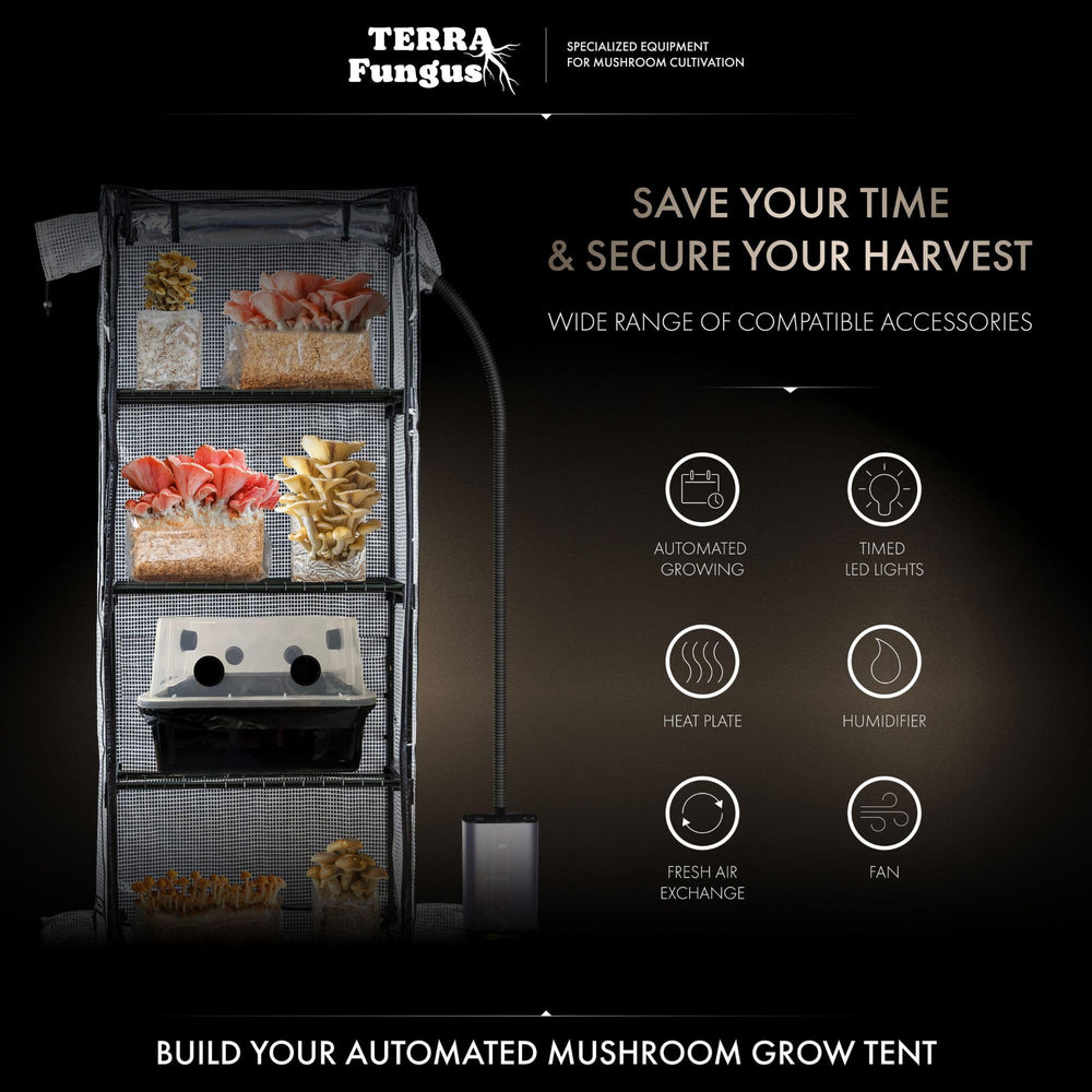 Terra Fungus next to a chair showing size comparison and space-saving benefit