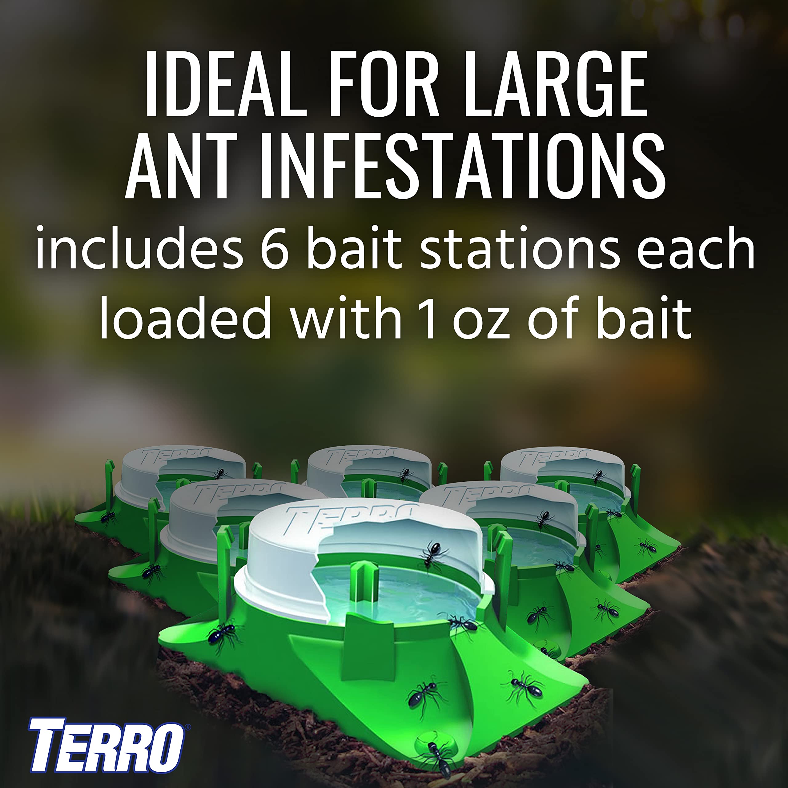 Terro liquid bait close-up showing attractant texture for ant feeding