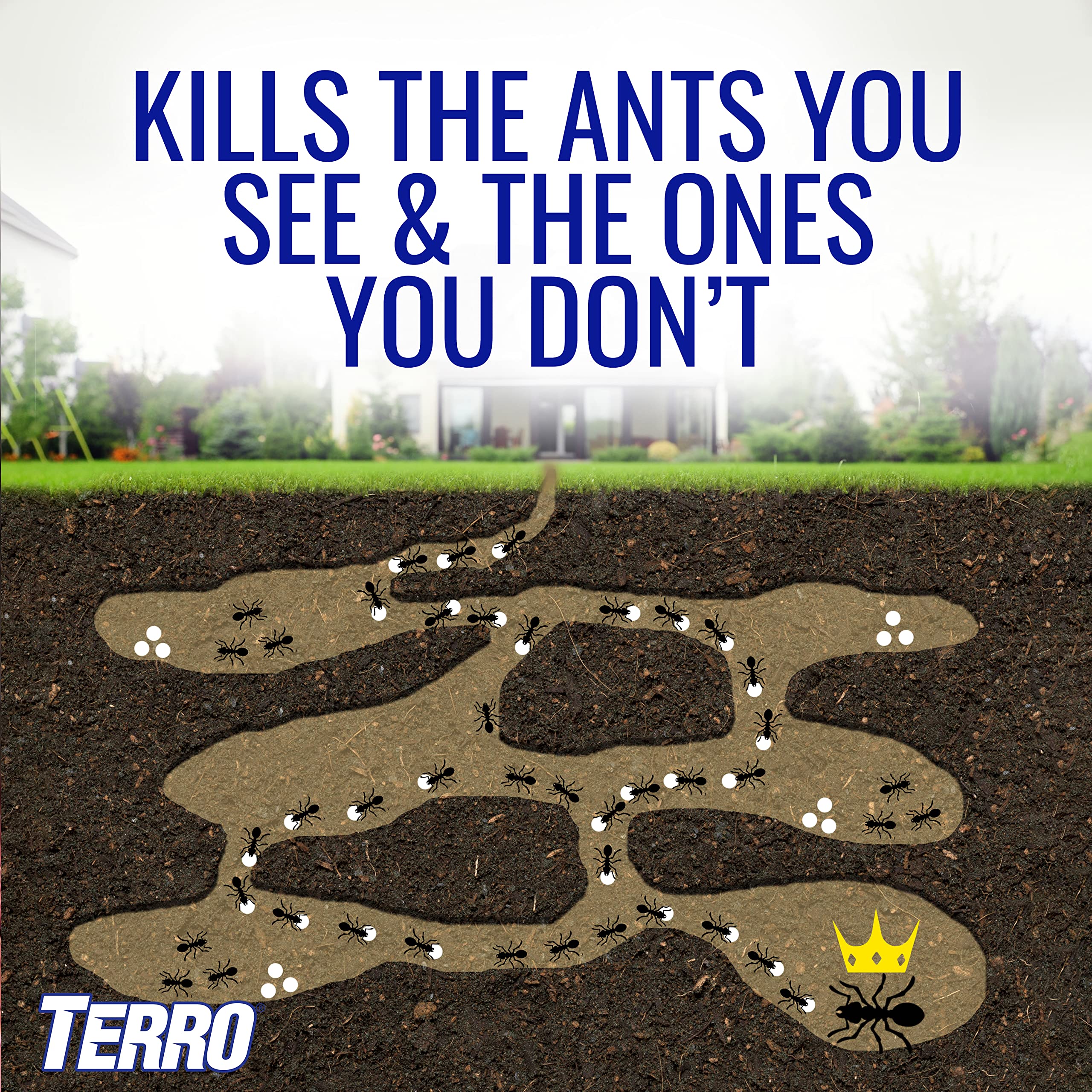 Terro bait stake placed near foundation to stop ants before they enter home