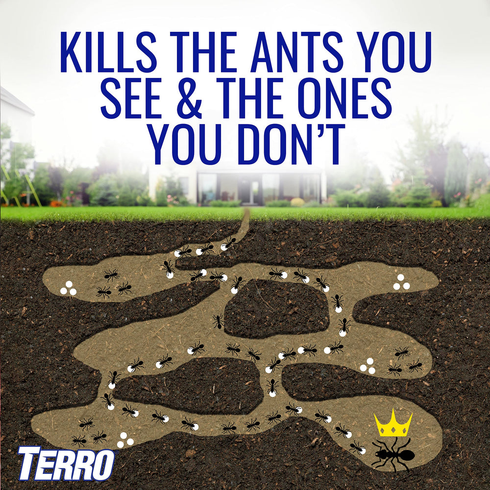 Terro bait stake placed near foundation to stop ants before they enter home