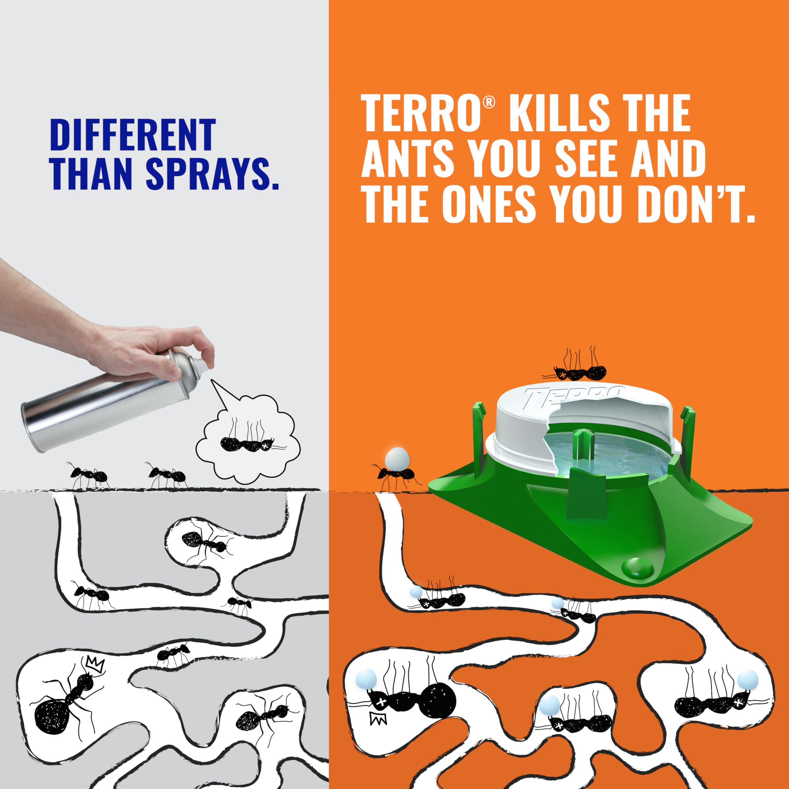 Terro bait stations lined along patio edge reducing ant entry risk into home