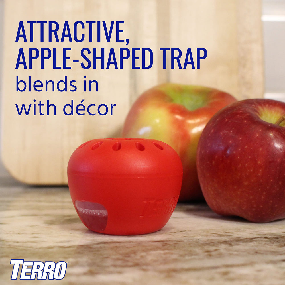 Terro traps placed on kitchen counter reducing fly activity