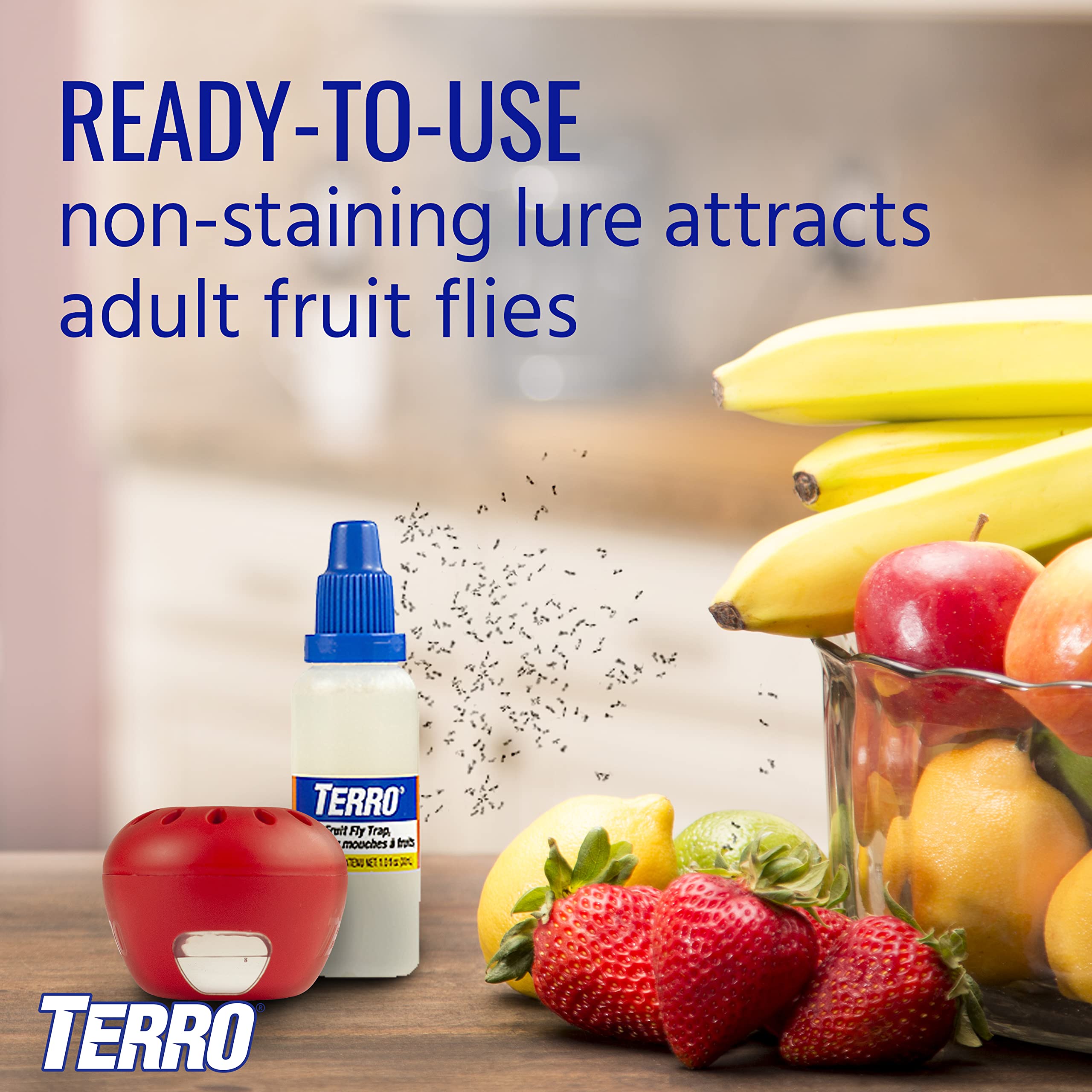 Terro built-in viewing window detail for easy monitoring