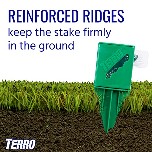Terro stake closeup with ant activity showing bait attractant effectiveness