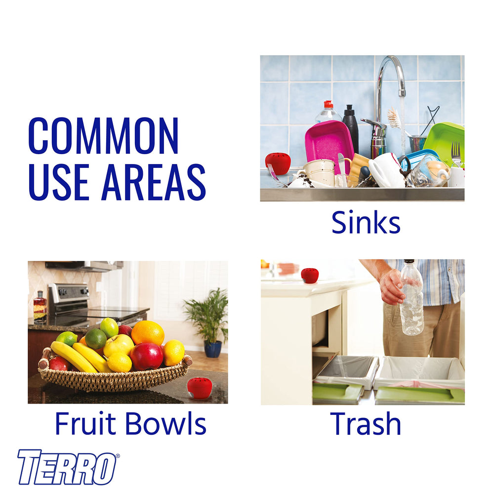 Terro trap next to fruit bowl intercepting fruit flies