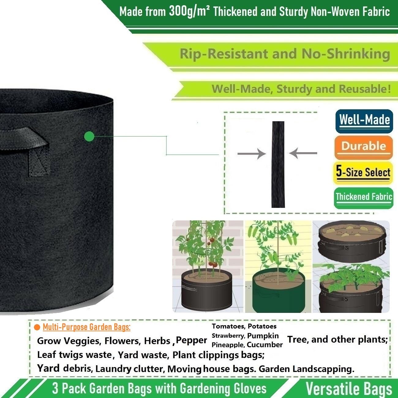 Tespher tomato plant thriving in bag demonstrating healthy root-zone benefit