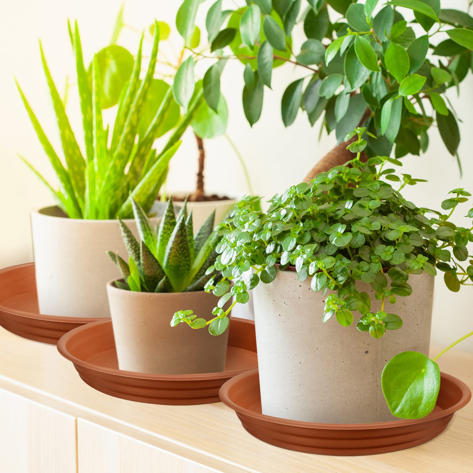 Tessco for you saucer next to pot showing fit and correct size match
