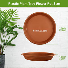 Tessco for you top view single saucer showing raised center and lip