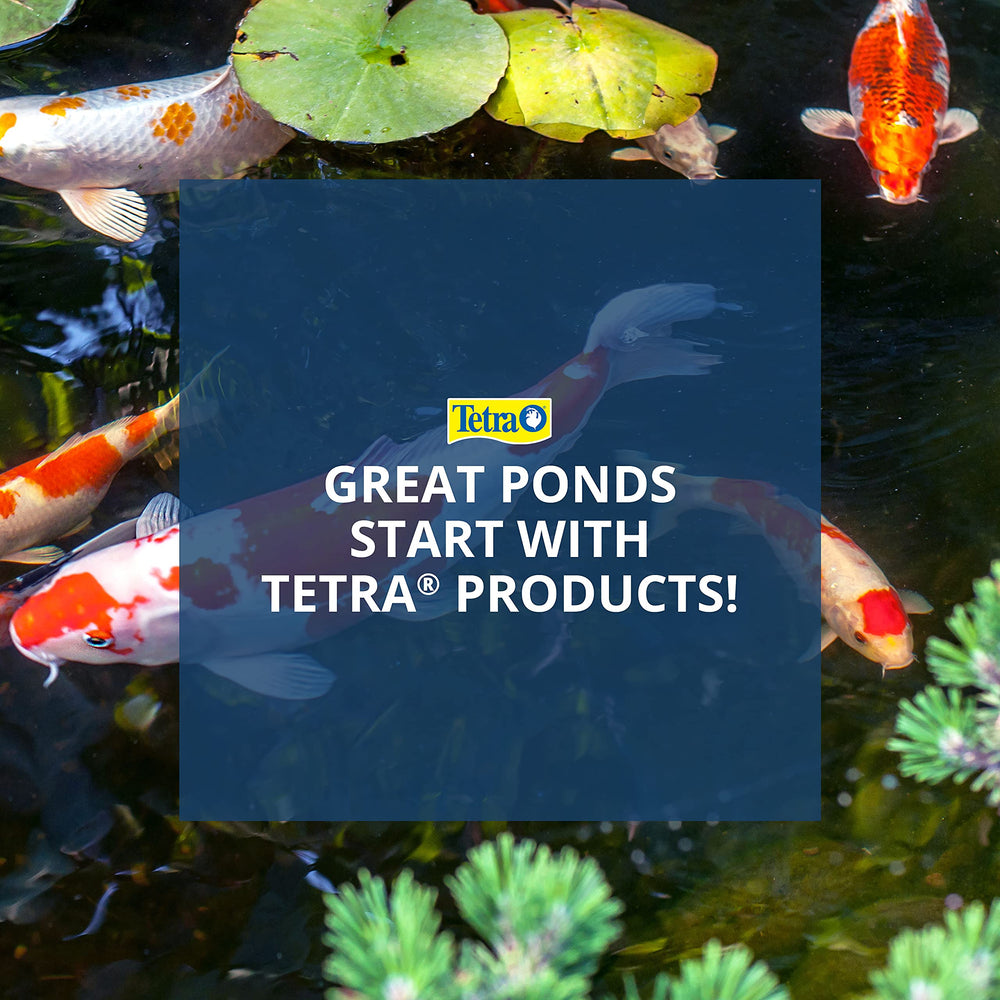 Tetra in a garden fountain setting showing aesthetic boost and reliable circulation benefit