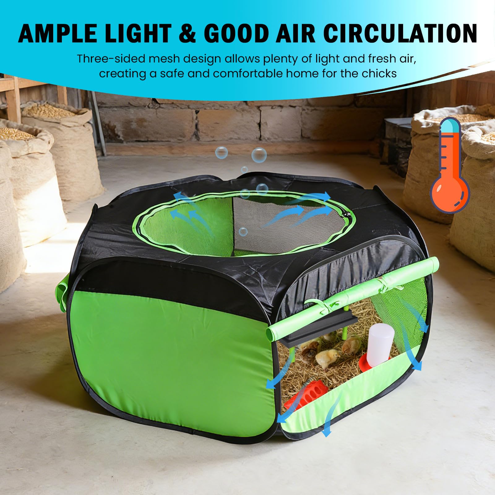 Tetuga brooder pen interior set up with feeder and waterer, organized chick space