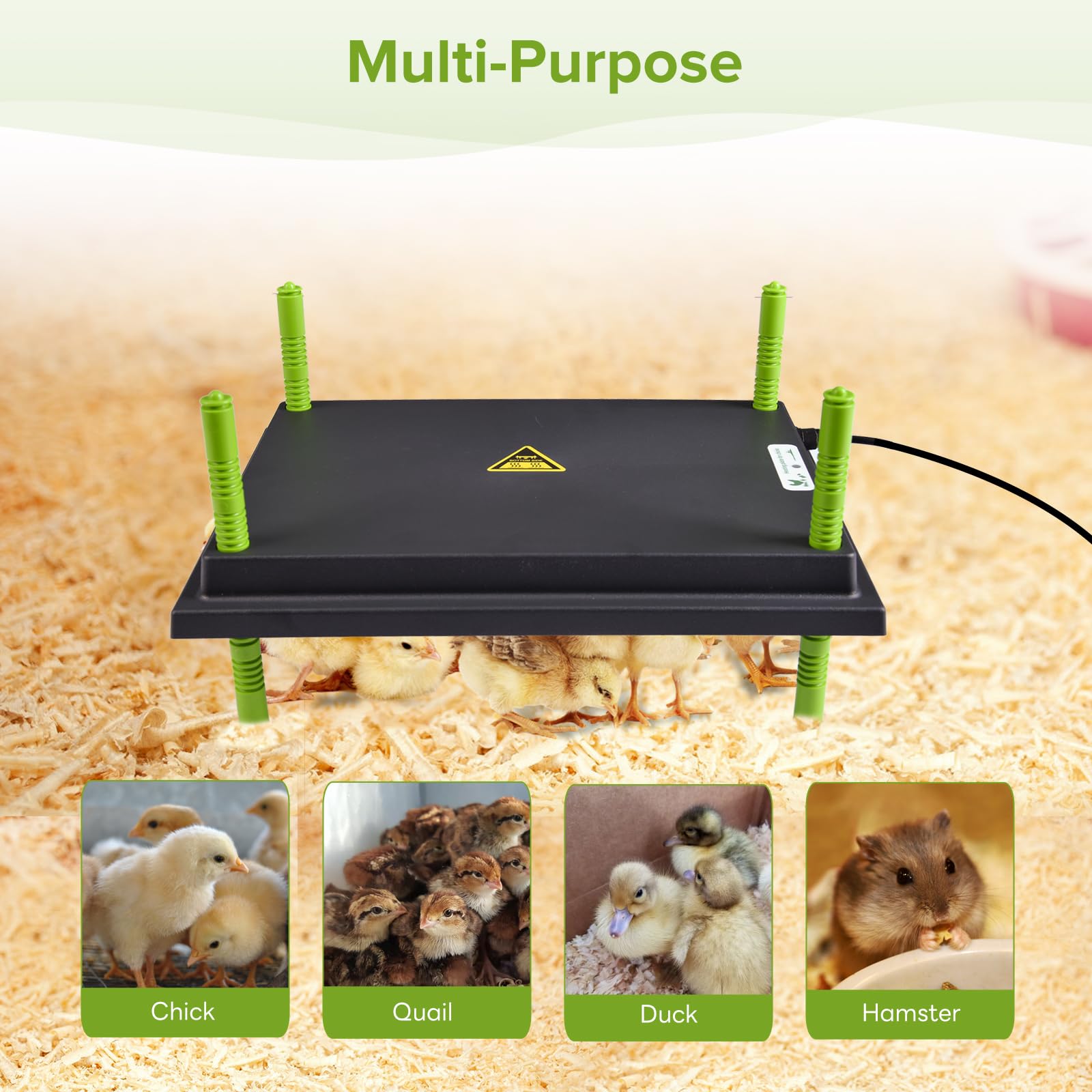 Tetuga plate next to ruler showing 12x16 size for planning brooder layout
