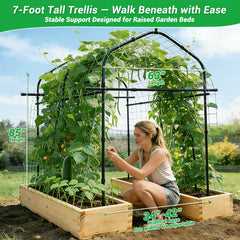 Tetutor close-up of 20mm steel frame highlighting durable construction