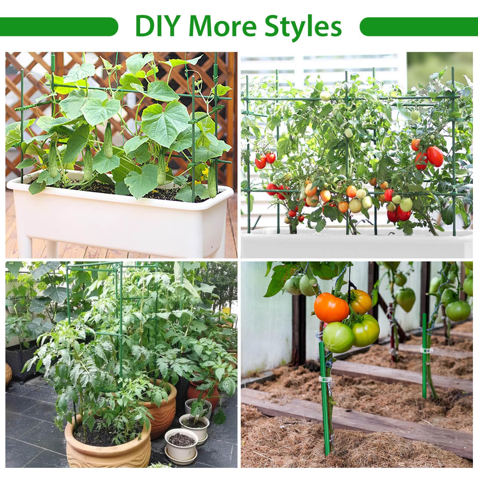 Tetutor assembled tomato cage around plants in a backyard bed benefit: strong wind protection