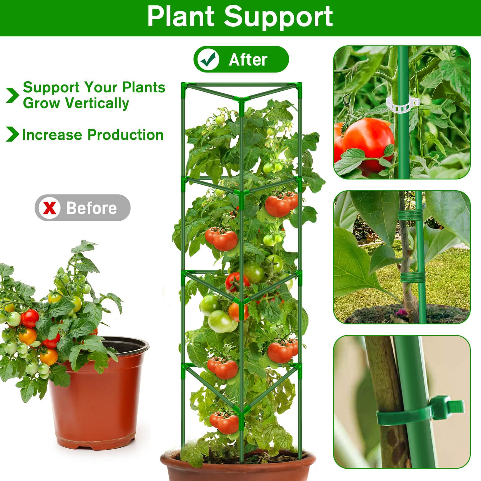 Tetutor cage supporting tomato plants in garden improving air circulation and yield
