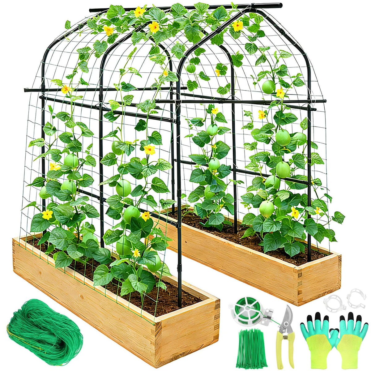 Tetutor front view of 7ft garden arch showing full walk-through benefit