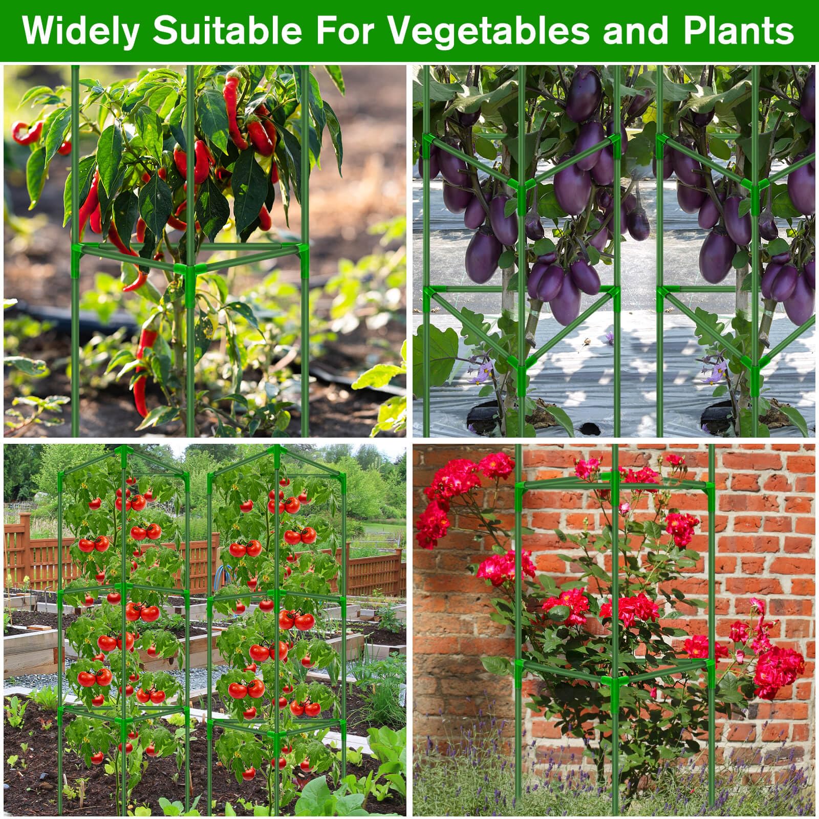 Tetutor cage beside ruler showing adjustable height flexibility for various pots