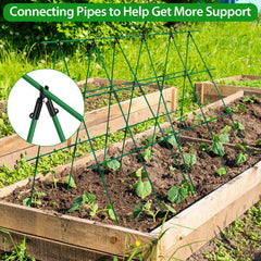 Tetutor stakes supporting tomato plants in a garden benefit: keeps fruit off soil
