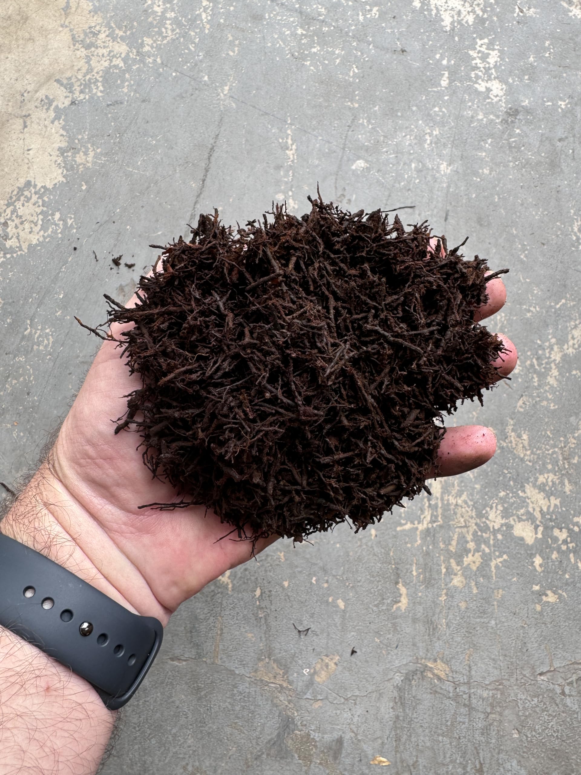 Tezula Plants root zone demo with roots in fibrous substrate showing enhanced aeration