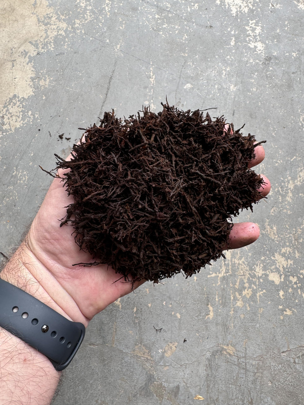 Tezula Plants root zone demo with roots in fibrous substrate showing enhanced aeration