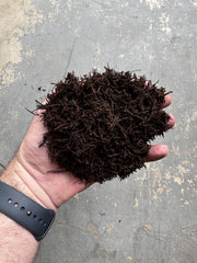 Tezula Plants root zone demo with roots in fibrous substrate showing enhanced aeration