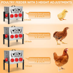 Tgeyd deep feeding port close-up reducing spill and saving feed