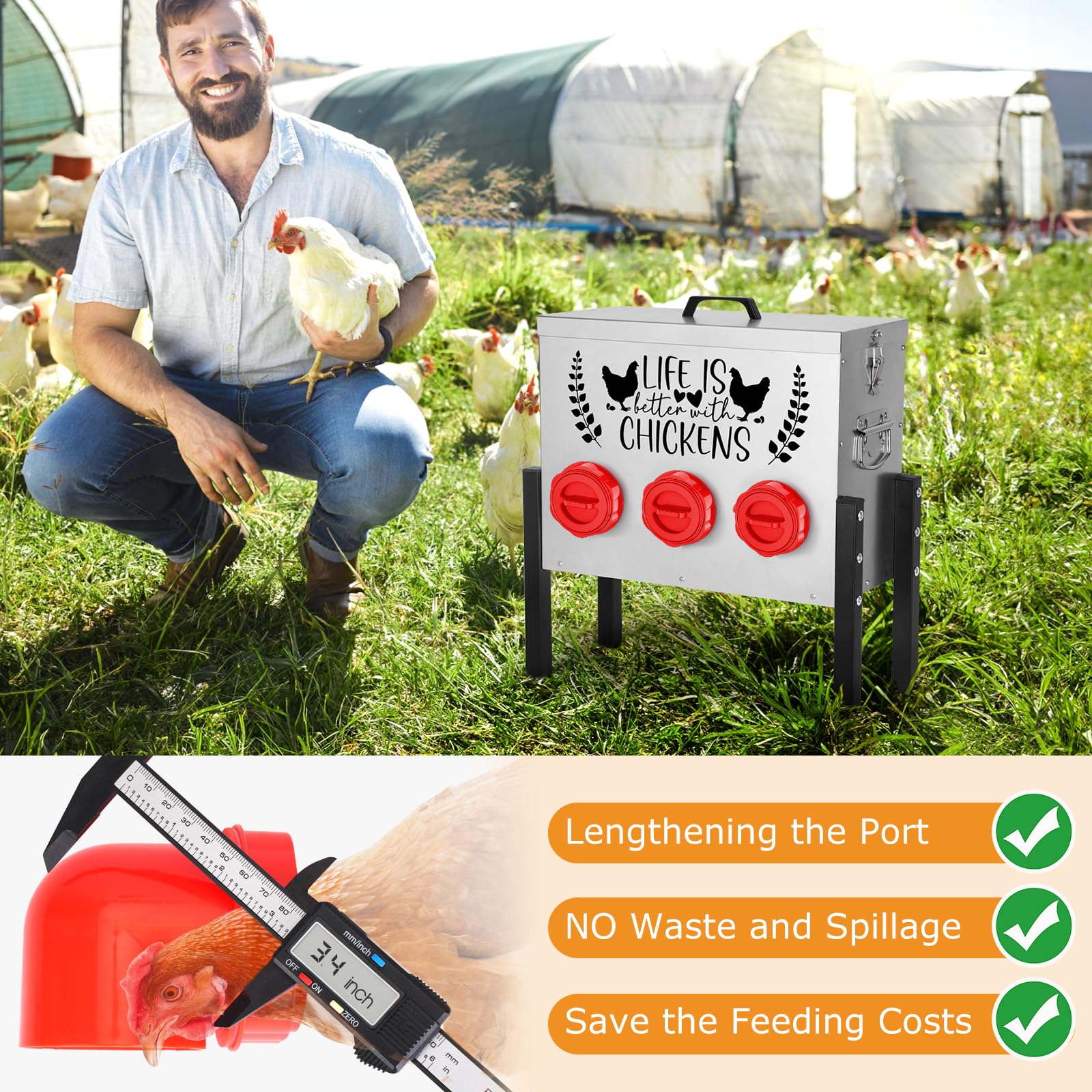 Tgeyd feeder in coop setting showing outdoor durability and organized feeding benefit