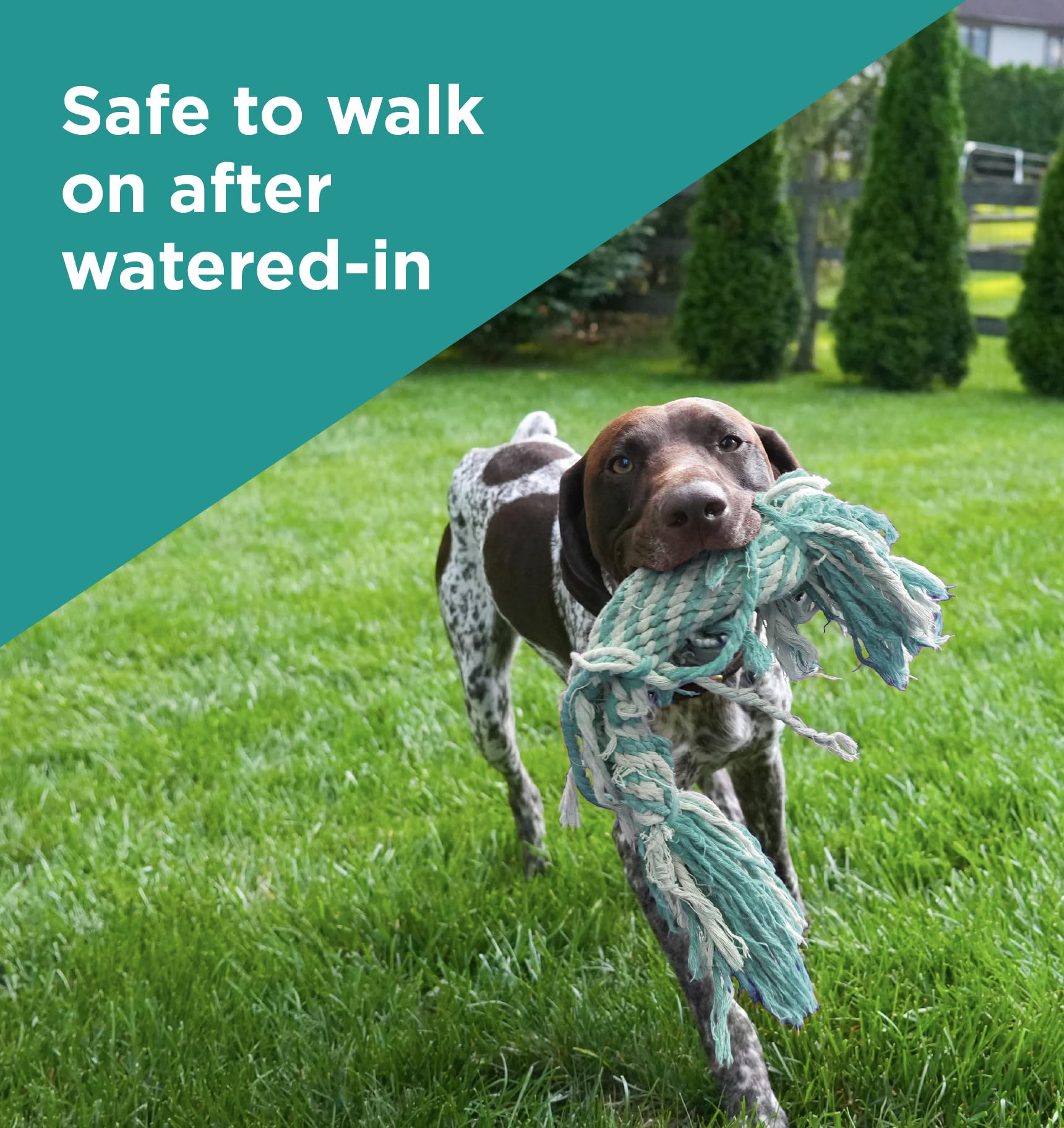 The Andersons pet on treated lawn demonstrating shorter pet-off times and safety