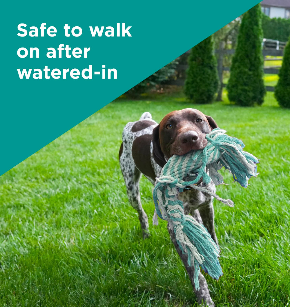 The Andersons pet on treated lawn demonstrating shorter pet-off times and safety