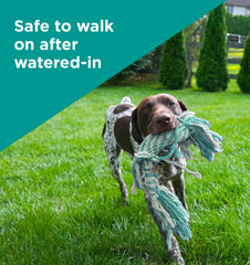 The Andersons pet on treated lawn demonstrating shorter pet-off times and safety