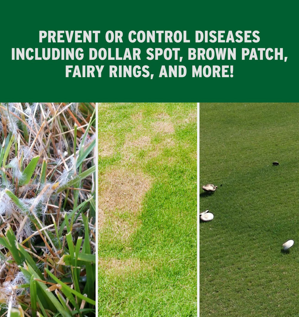 Side-by-side treated lawn demonstrating The Andersons product suppressing turf disease symptoms