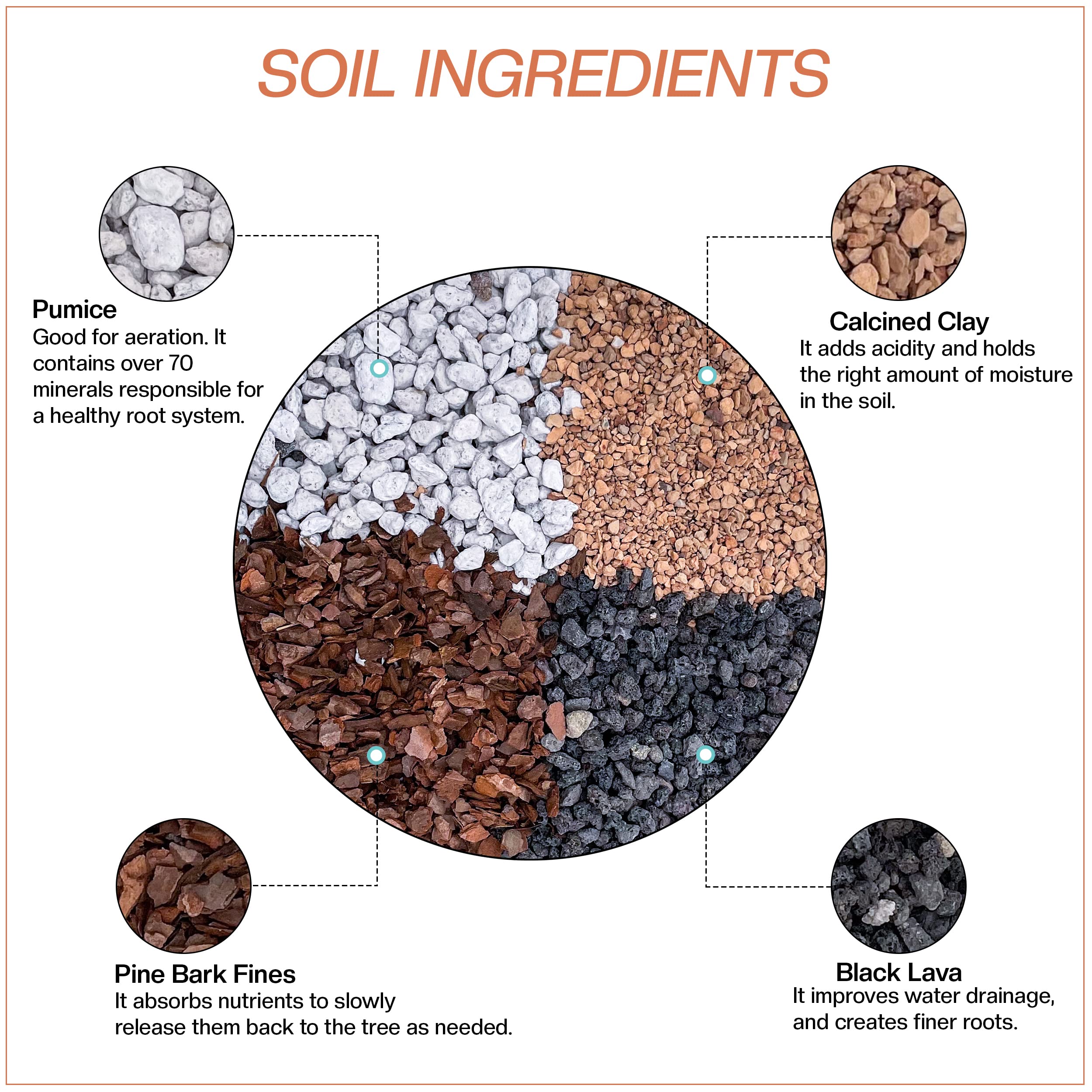 JK Global Imports soil texture close-up displaying fast-draining aggregates for healthy roots
