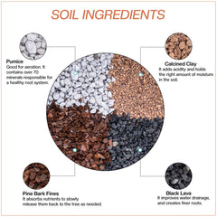 JK Global Imports soil texture close-up displaying fast-draining aggregates for healthy roots