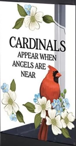 The Bridge Collection close-up of glass pane and printed cardinal offering peaceful remembrance