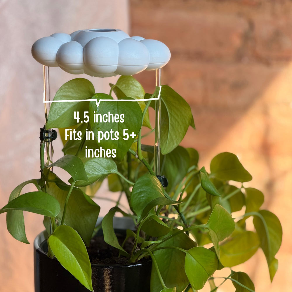 THE CLOUD MAKERS product label and branding emphasizing maker story